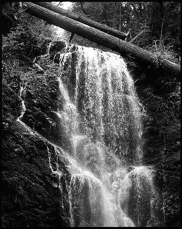 Water Power - Redwood Forest CA