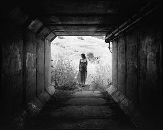 Down the Rabbit Hole