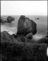 Sonoma Coast, CA