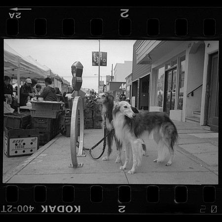 San Francisco, CA