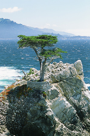 Carmel - CA