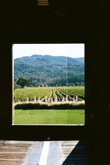 Napa Valley