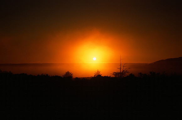 Santa Cruz Mountains, CA