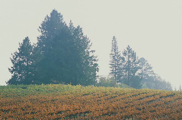 Russian River, CA