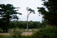 Pornic - France