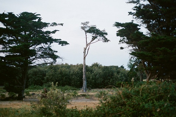 Pornic - France