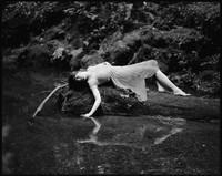 Water Nymph - Big Basin, CA